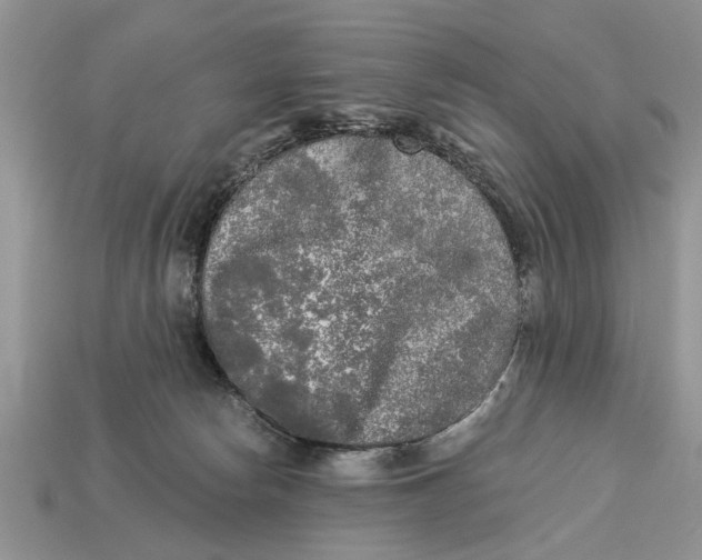 X0000112960178200909171305