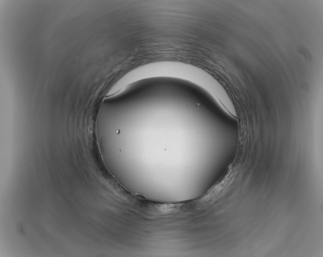 X0000112960184200909171305