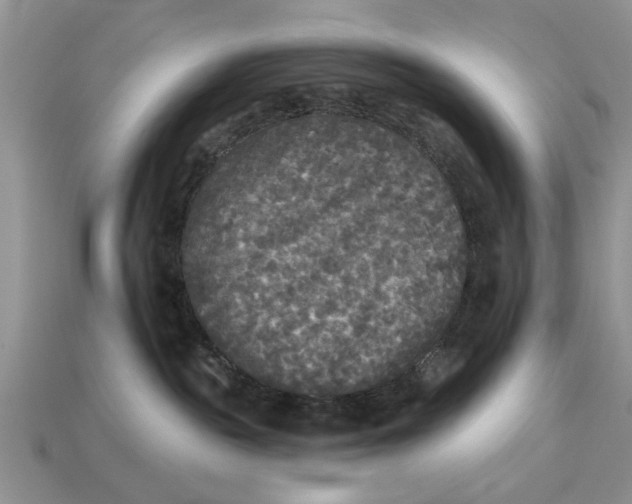 X0000112960189200909171305