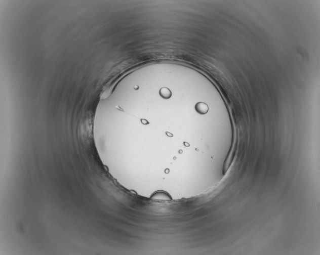 X0000112960190200909171305