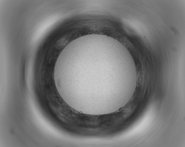 X0000112960191200909171305