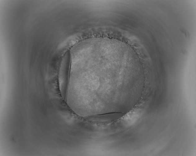 X0000112960192200909171305