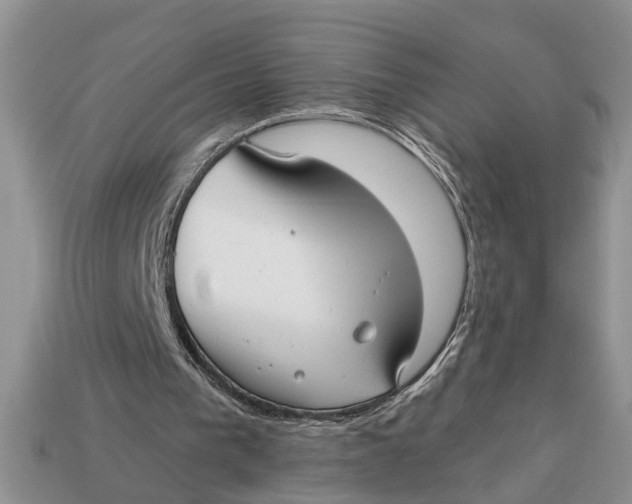 X0000112960193200909171304