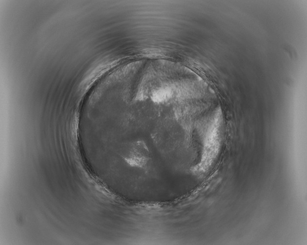 X0000112960194200909171304