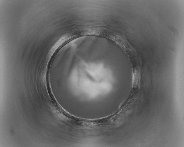 X0000112960195200909171304