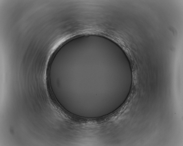 X0000112960196200909171304