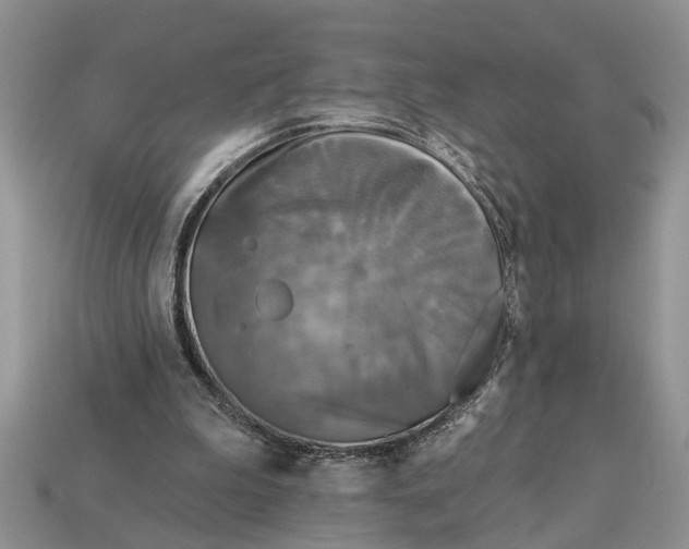 X0000112960199200909171304