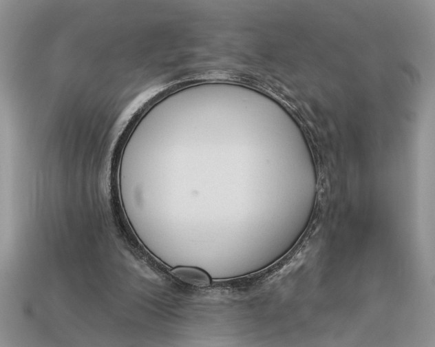 X0000112960200200909171304