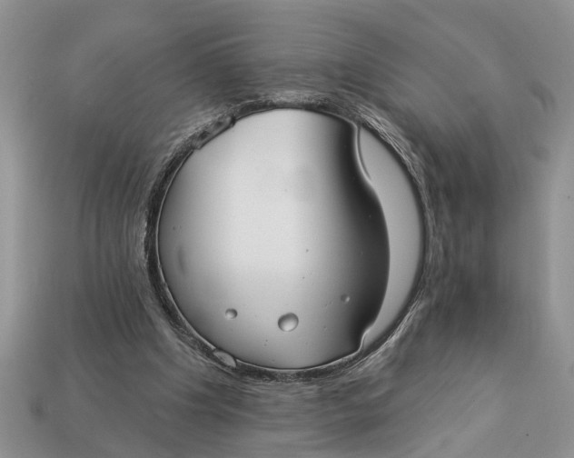 X0000112960201200909171304