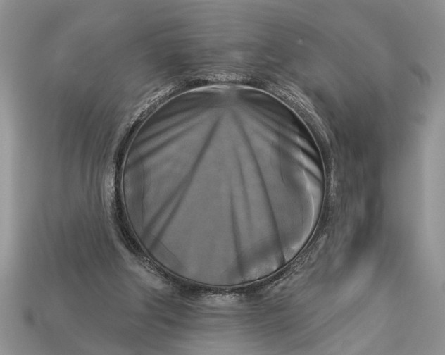 X0000112960202200909171304