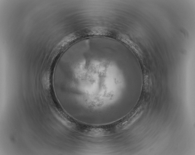 X0000112960203200909171304