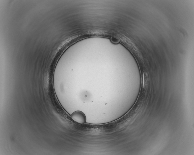 X0000112960204200909171304