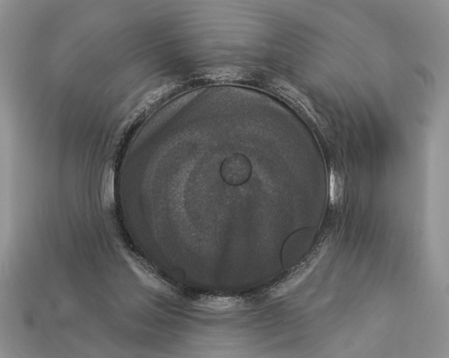 X0000112960205200909171304