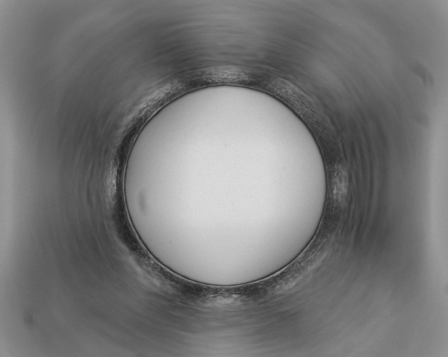 X0000112960206200909171304