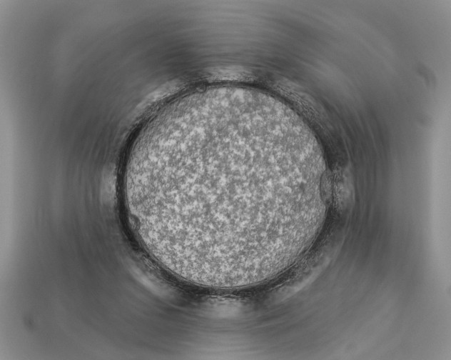 X0000112960207200909171304