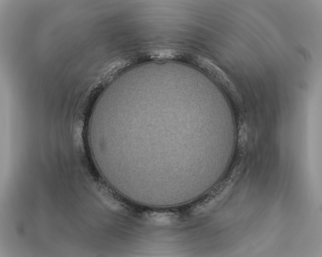 X0000112960209200909171304