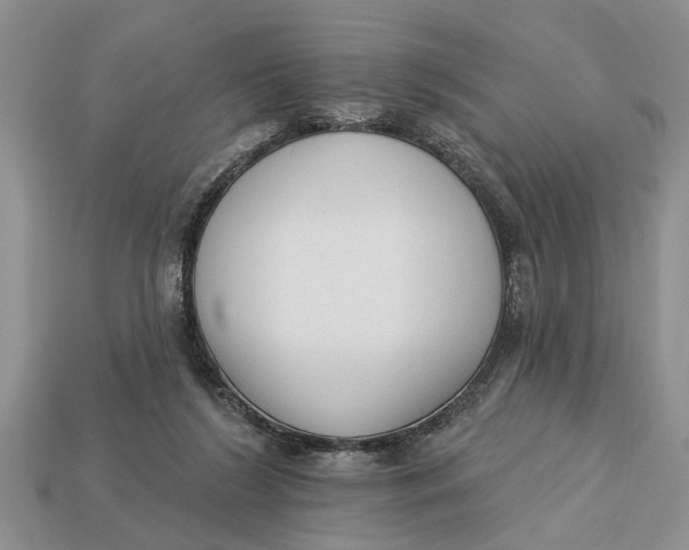 X0000112960212200909171304