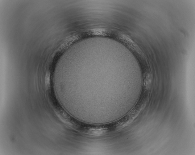 X0000112960213200909171304