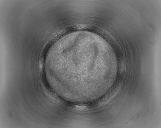 X0000112960214200909171304