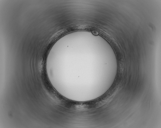 X0000112960216200909171304