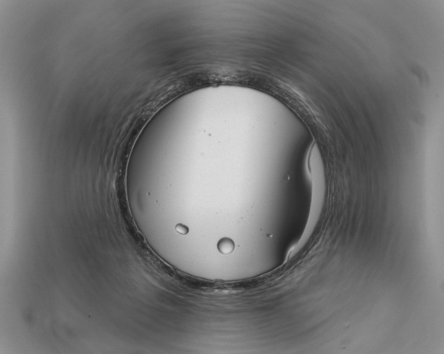 X0000112960217200909171304