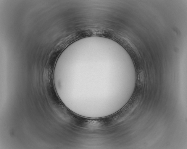 X0000112960218200909171304