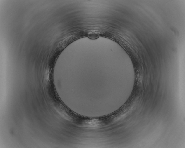 X0000112960219200909171304