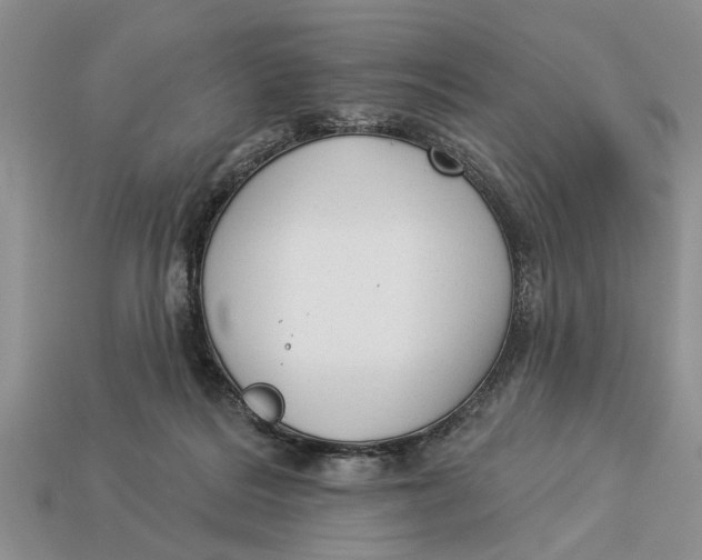 X0000112960220200909171304