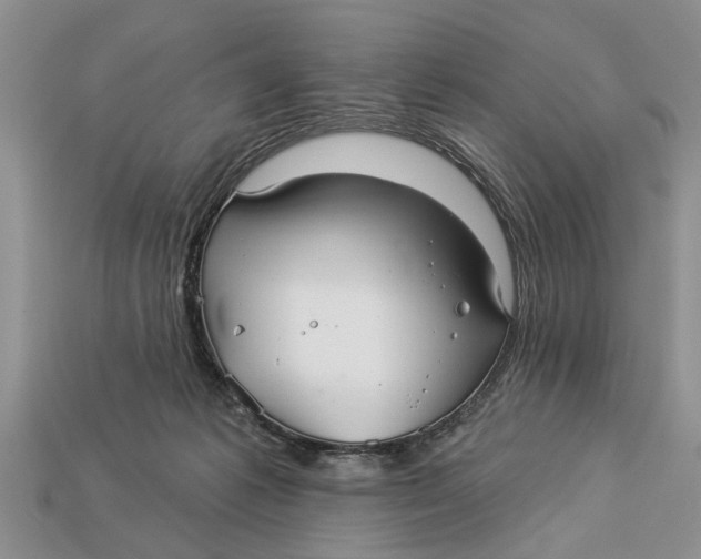 X0000112960221200909171304