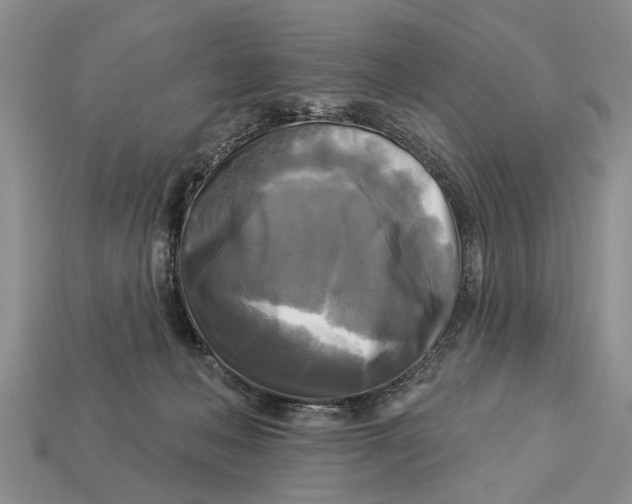 X0000112960222200909171304