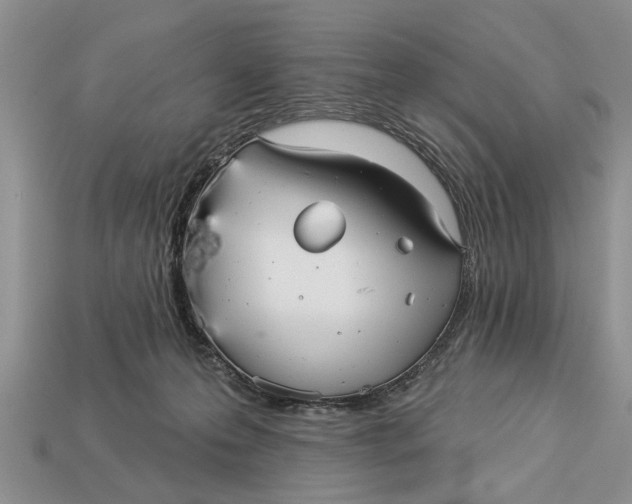 X0000112960223200909171304