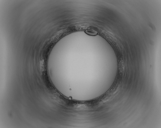 X0000112960224200909171304