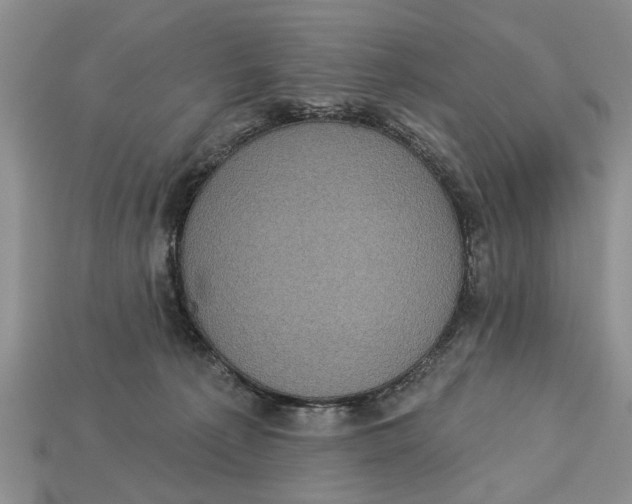 X0000112960225200909171304