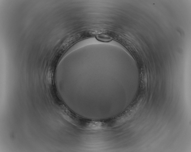 X0000112960227200909171304