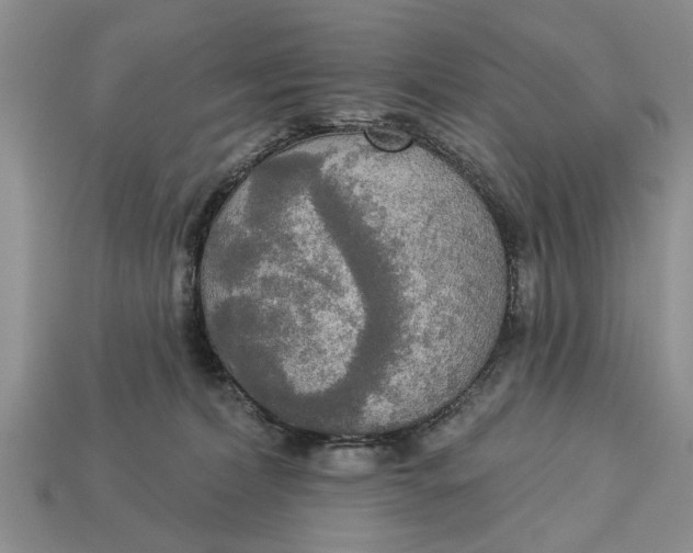 X0000112960228200909171304