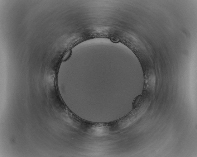 X0000112960231200909171304