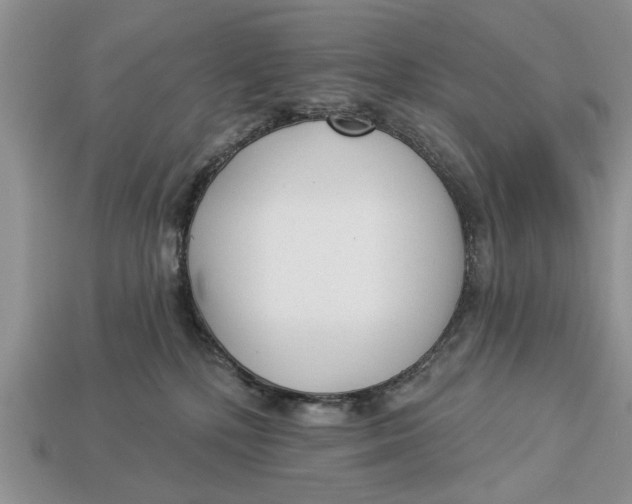 X0000112960232200909171304