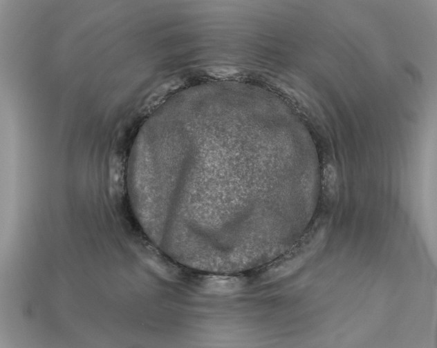 X0000112960234200909171304