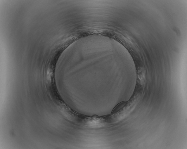 X0000112960235200909171304