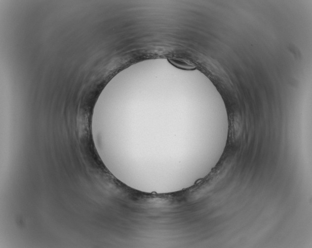 X0000112960236200909171304