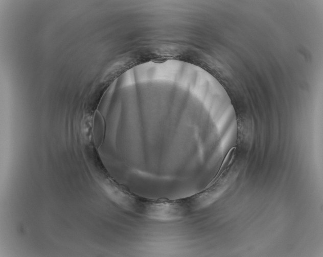 X0000112960237200909171304