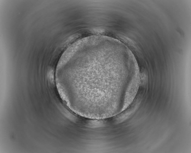 X0000112960238200909171304