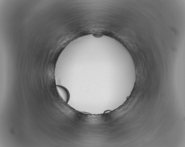 X0000112960240200909171304