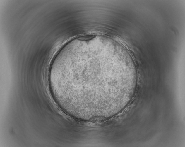 X0000112960241200909171303