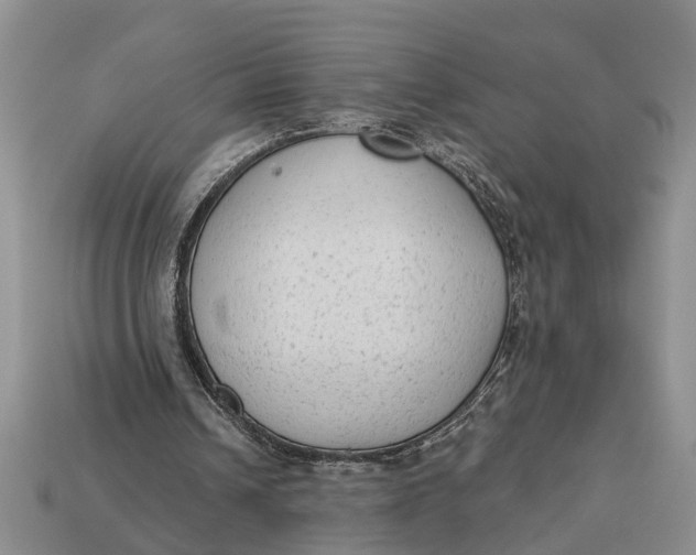 X0000112960242200909171303