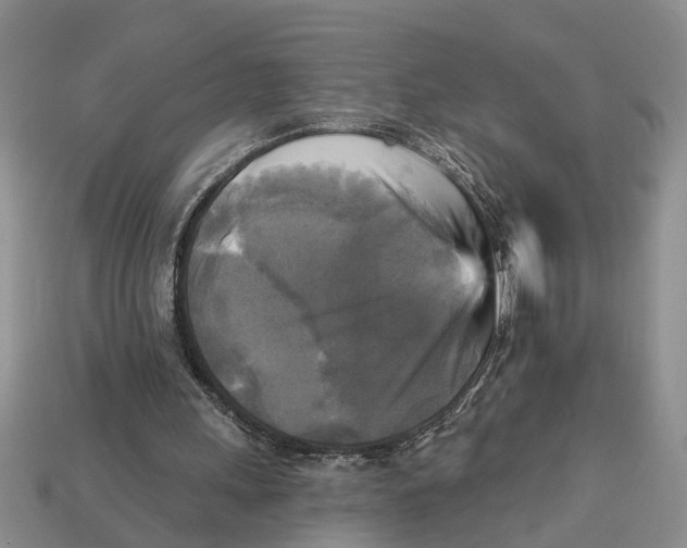 X0000112960243200909171303