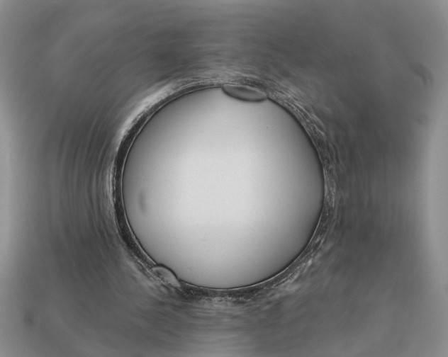 X0000112960244200909171303