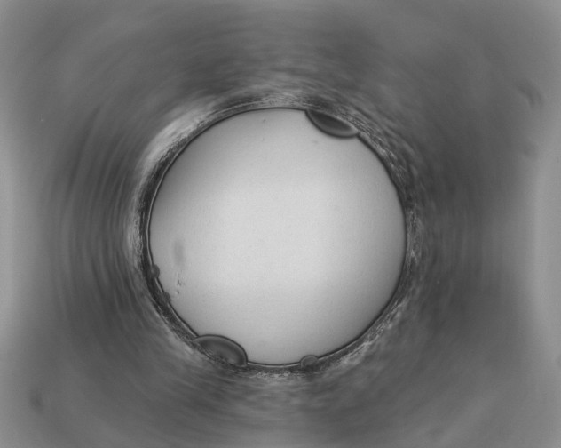 X0000112960245200909171303