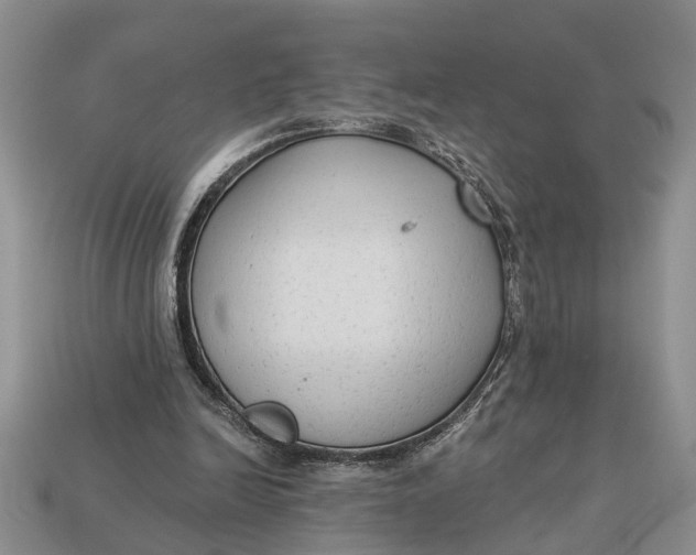 X0000112960246200909171303