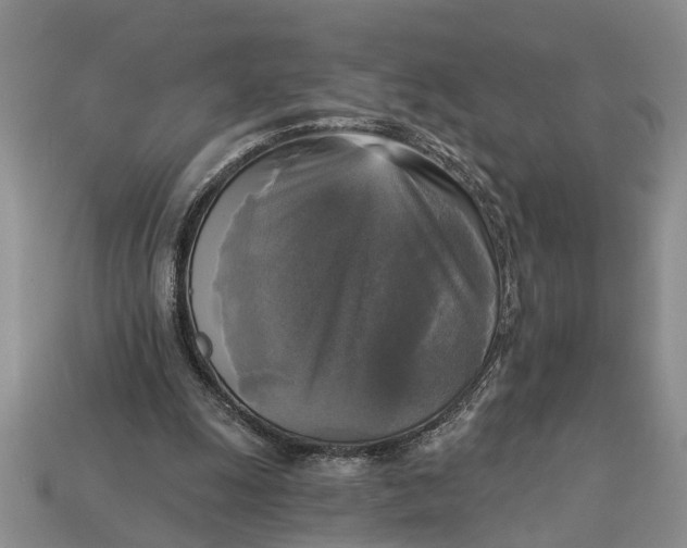 X0000112960247200909171303